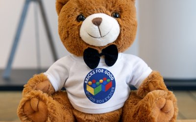 Mr. Bear Teddy